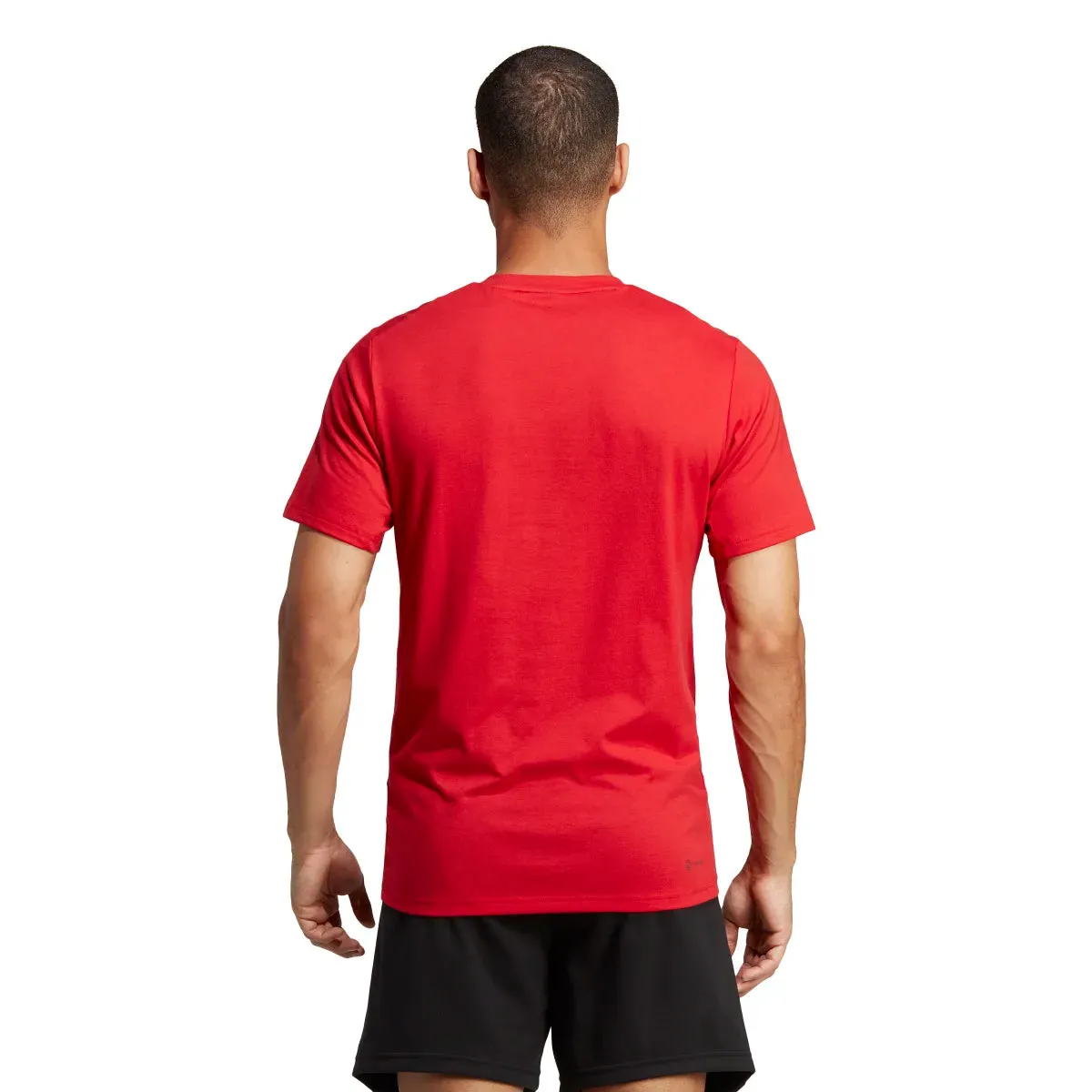 adidas Men's Train Essentials Feelready Tee (Tall)