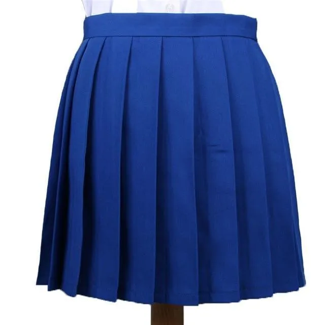 Traditional Pleated Skirt (up to 3XL)